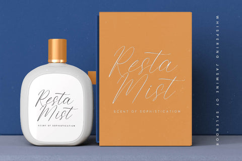 Todays Island - Modern Freestyle Font Font Letterena Studios 