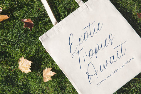 Todays Island - Modern Freestyle Font Font Letterena Studios 