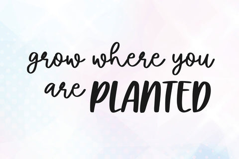 Together Paradise Duo Font Abo Daniel Studio 