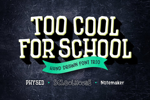 Too Cool for School Font Trio Font Denise Chandler 