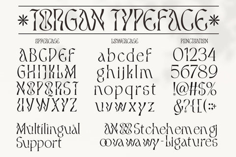 Torgan – Experimental Serif Font Font Four Lines Std. 