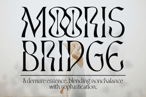 Torgan – Experimental Serif Font Font Four Lines Std. 