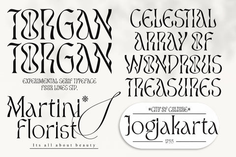 Torgan – Experimental Serif Font Font Four Lines Std. 