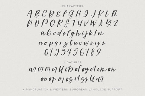 Total Malarkey Script Font Beck McCormick 