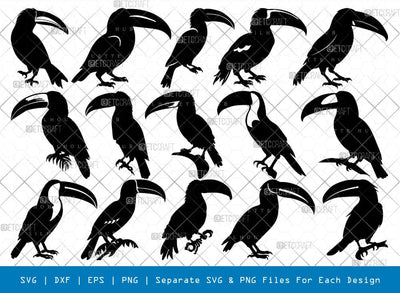 Toucan Svg Cricut Cut Files Png Bundle, SB01149 SVG ETC Craft 