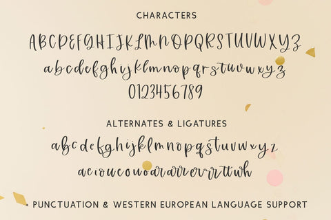 Touseled Script Font Beck McCormick 