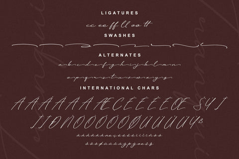 Tranquil Euphoric Font Duo Font Storytype Studio 