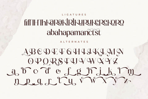 Tranquil Euphoric Font Duo Font Storytype Studio 