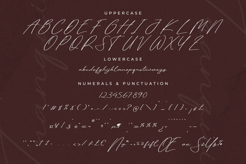 Tranquil Euphoric Font Duo Font Storytype Studio 