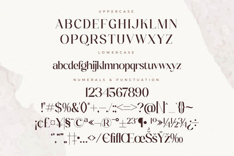 Tranquil Euphoric Font Duo Font Storytype Studio 