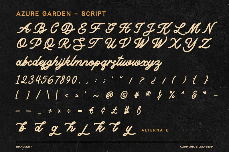 Tranquility - Vintage Script - So Fontsy