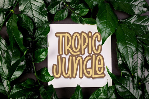 Tropic Jungle Font Font Dm Letter Studio 