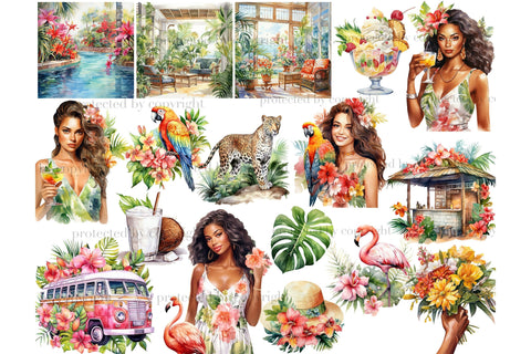 Tropical Clipart Collection | Jungle Clipart PNG Bundle SVG GlamArtZhanna 