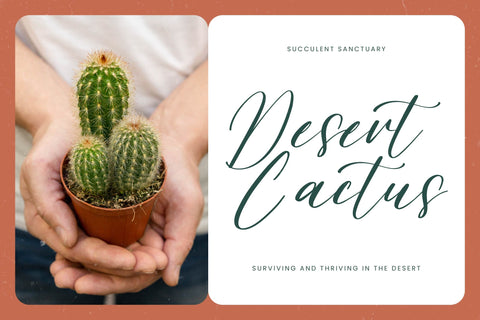 Tropical Exotic - Freestyle Stylish Font Font Letterena Studios 