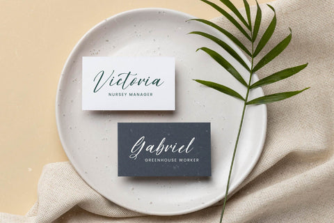 Tropical Exotic - Freestyle Stylish Font Font Letterena Studios 
