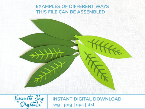Tropical Flowers Plumeria with Leaves SVG Kyanite Sky Digitals 