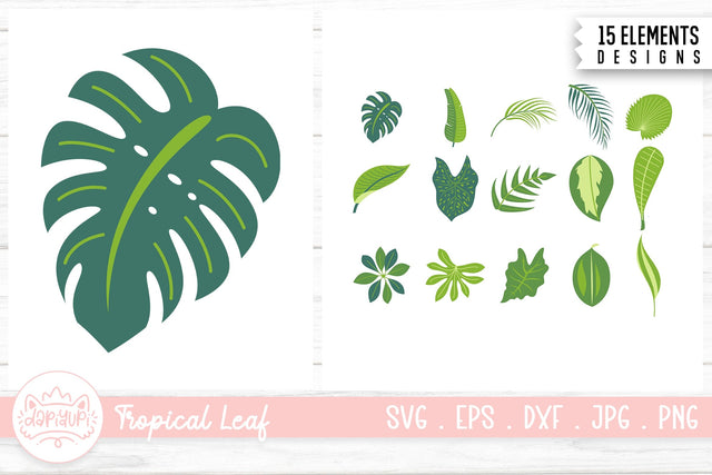 Tropical Leaf Illustration Bundle | Tropical Plant Clipart SVG dapiyupi store 