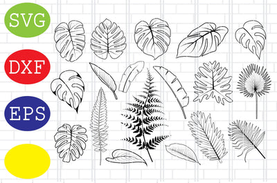 Tropical Leaves Outline, Tropical leaves Svg, tropical leaf Svg, jungle leaves Svg, beach Svg, summer Svg, tropical Svg, Jpg, Eps, Dxf Files SVG DigitalSvgFiles 