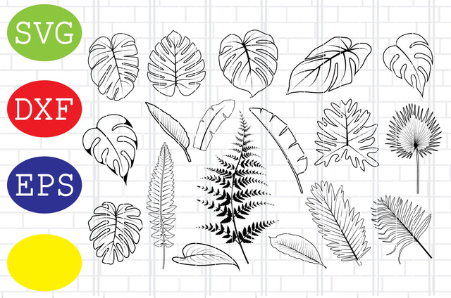 Tropical Leaves Outline, Tropical leaves Svg, tropical leaf Svg, jungle leaves Svg, beach Svg, summer Svg, tropical Svg, Jpg, Eps, Dxf Files SVG DigitalSvgFiles 