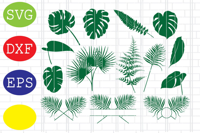 Tropical leaves Svg, tropical leaf Svg, jungle leaves Svg, beach Svg, summer Svg, tropical Svg, Jpg, Eps, Dxf Files SVG DigitalSvgFiles 