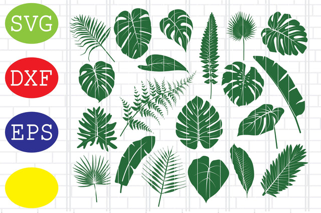 Tropical leaves Svg, tropical leaf Svg, jungle leaves Svg, tropical Svg, Jpg, Eps, Dxf Files SVG DigitalSvgFiles 