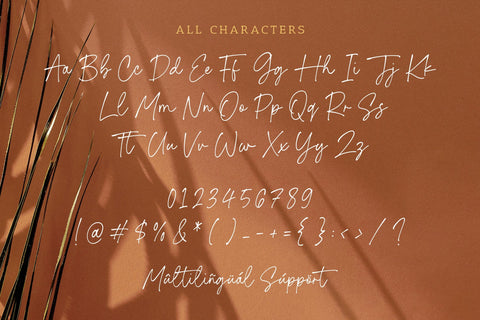 Tropical Paradise - Modern Handwriting Script Font Font Timur type 