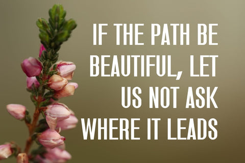 Trying - Modern Condensed Sans Font studioalmeera 