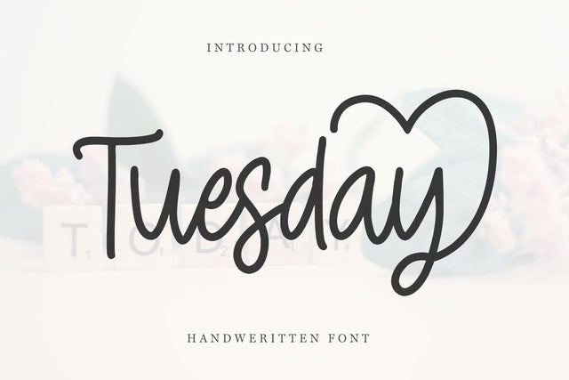 Tuesday – Elegant Handwritten Cursive Font Font Chamsae Studio 