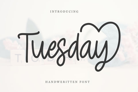 Tuesday – Elegant Handwritten Cursive Font Font Chamsae Studio 