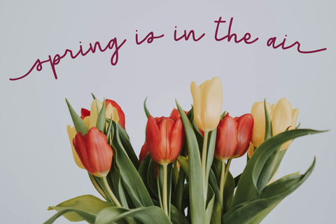 Tulipa Bloom Font Alyssa McDonald Design 