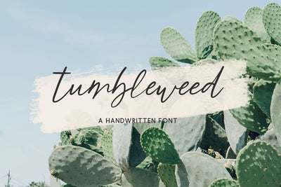 Tumbleweed Script Font Font Beck McCormick 