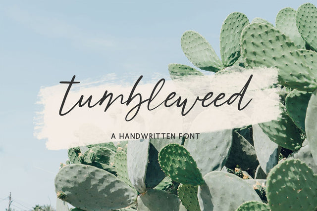 Tumbleweed Script Font Font Beck McCormick 