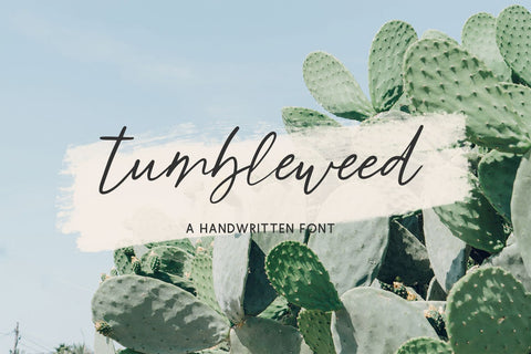 Tumbleweed Script Font Font Beck McCormick 