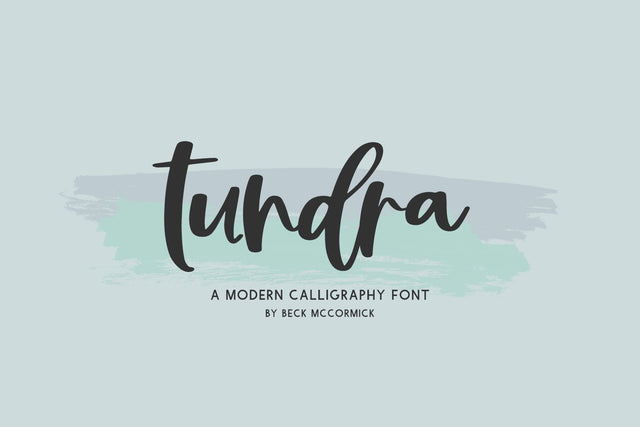Tundra Script Font Font Beck McCormick 