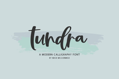 Tundra Script Font Font Beck McCormick 