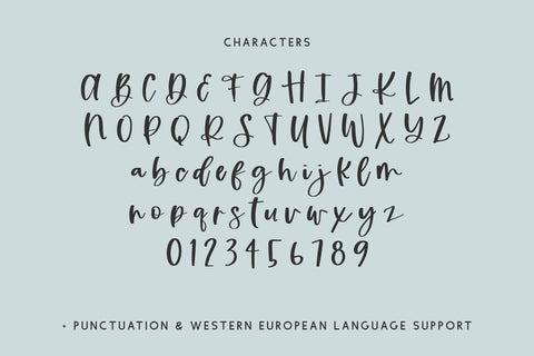 Tundra Script Font Font Beck McCormick 