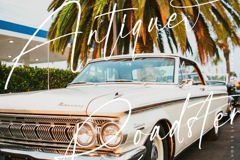 Turbolenta Sofittalia - Modern Calligraphy Font Font Letterena Studios 