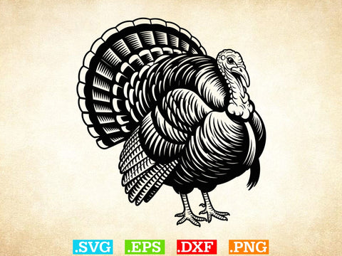Turkey Svg Bundle, Turkey Hunting Clipart, Wild Turkey Svg SVG Creativeart88 