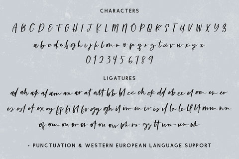 Unbound Script Font Beck McCormick 
