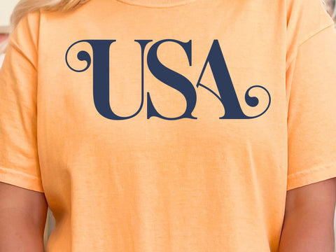 USA Patriotic SVG File, 4th of July, America Svg. USA Svg SVG DesignDestine 