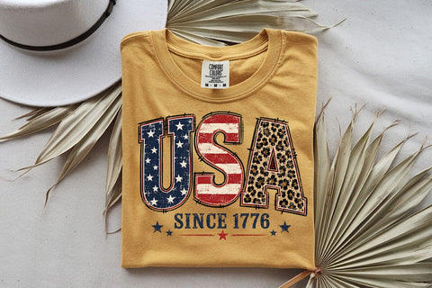 USA Since 1776 Png, Fourth Of July Png, USA PNG, America png, Patriotic Flag Png, Independence Day Png SVG DesignDestine 