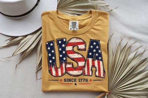 USA Since 1776 Png, Fourth Of July Png, USA PNG, America png, Patriotic Flag Png, Independence Day Png SVG DesignDestine 