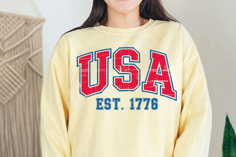 USA Svg, USA Png, USA Shirt Svg, 4th July 1776 Svg, Since 1773 Usa Flag, American Svg, American Shirt Svg, Vintage Usa Svg SVG DesignDestine 