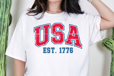 USA Svg, USA Png, USA Shirt Svg, 4th July 1776 Svg, Since 1773 Usa Flag, American Svg, American Shirt Svg, Vintage Usa Svg SVG DesignDestine 