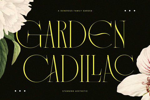 Vagesha Rolenda – Fancy Serif Font Arterfak Project 