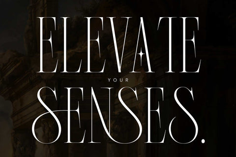 Vagesha Rolenda – Fancy Serif Font Arterfak Project 