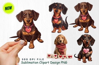 Valentine's Day Dachshund Clipart Sublimation Regulrcrative 