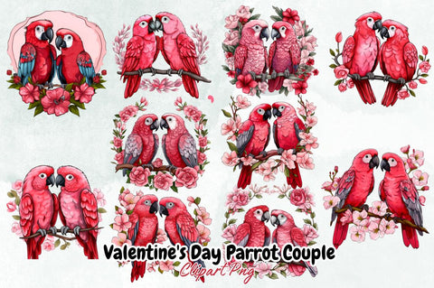Valentine's Day Parrot Couple Clipart Bundle Sublimation Designangry 