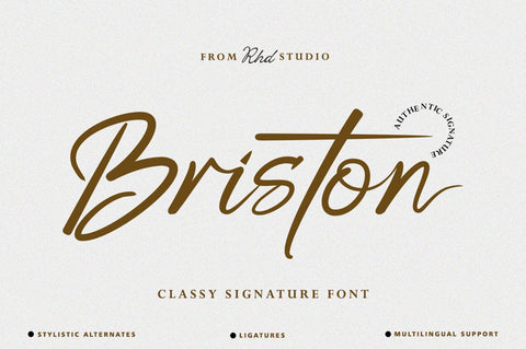 Valentines Signature Font Bundle Font Studio Rhd Store 
