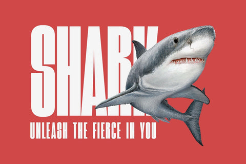 Valinguan Condensed - Modern Condensed Sans Serif Font studioalmeera 